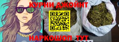 сатива Славгород