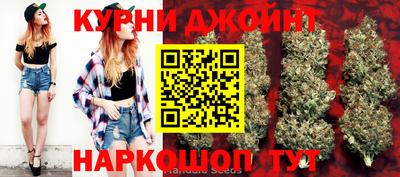 сатива Славгород