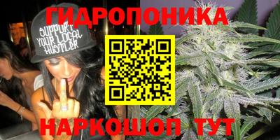 сатива Славгород