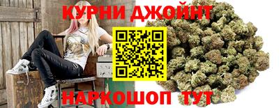 сатива Славгород