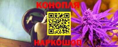 сатива Славгород